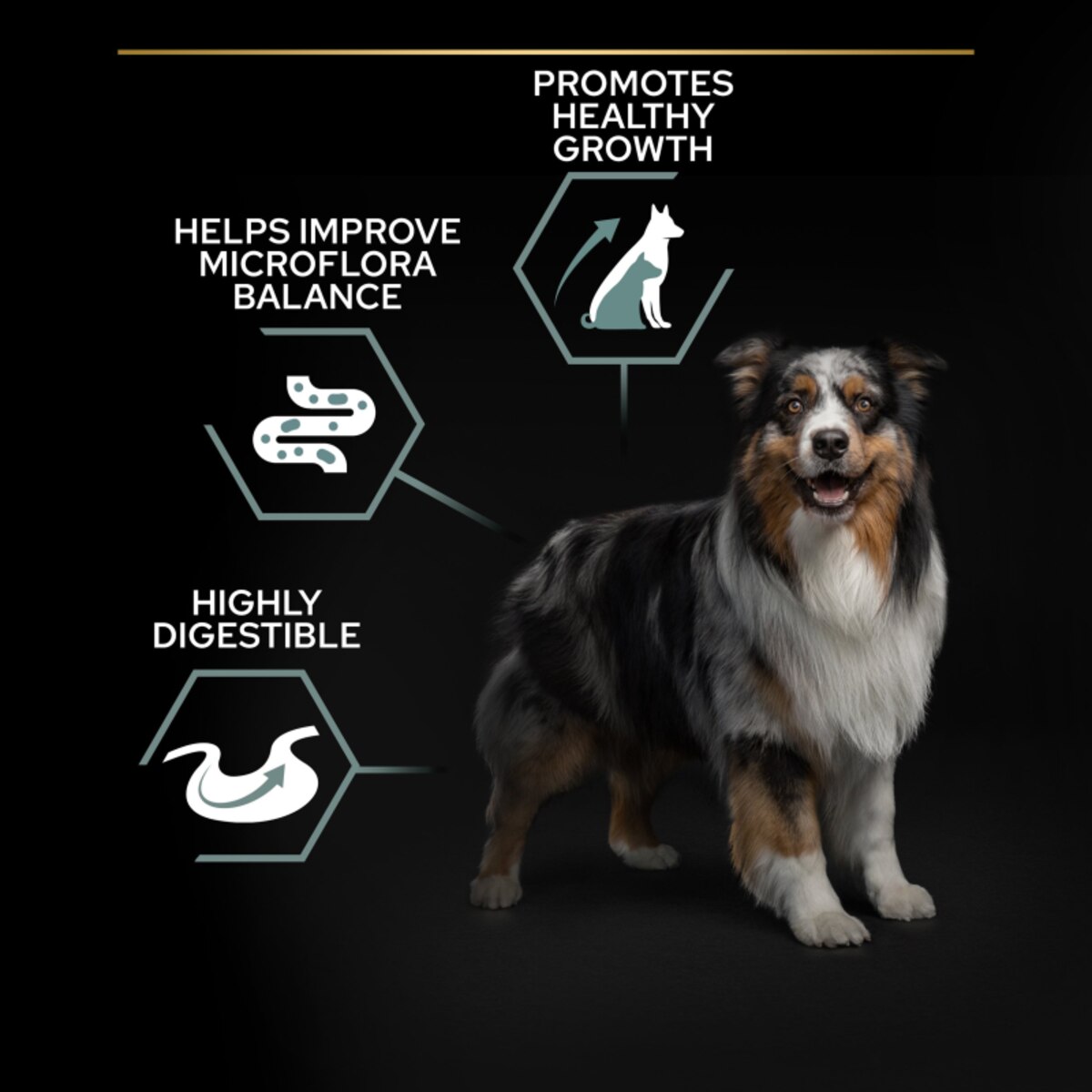 Pro Plan Grain Free Sensitive Digestion Turkey Dry Dog Food - 12kg_3